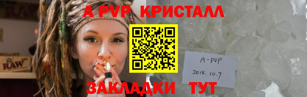 Alfa_PVP СК КРИС Дзержинский